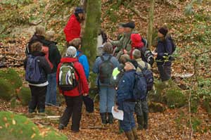 I Ullasj�b�ckens naturreservat