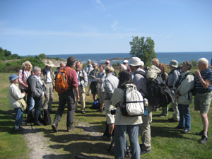 Samling